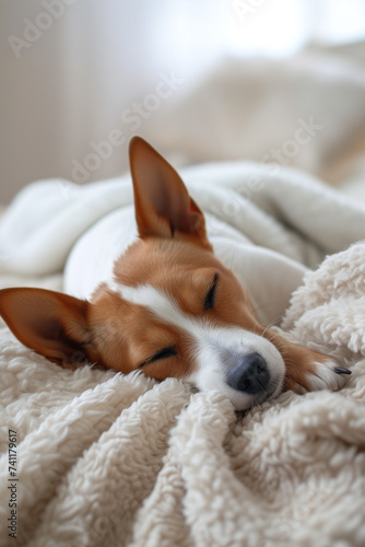 Adorable dog sleeping peacefully on white bed with soft blanket