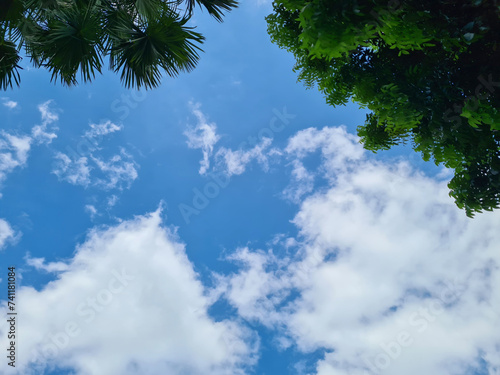Natural with blue clouds sky and green leaves