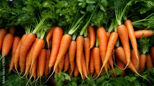 Bunch of fresh carrots on display at the farmers market. Healty food background.