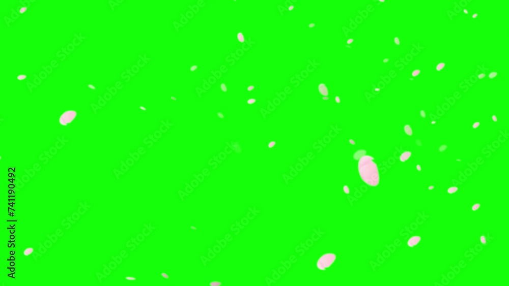 舞う桜の花びら。春の背景素材。合成用 舞う桜の花びら。春の背景素材。合成用