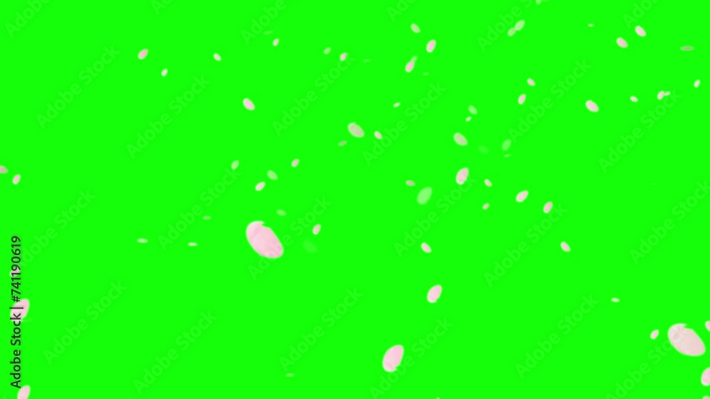舞う桜の花びら。春の背景素材。合成用 舞う桜の花びら。春の背景素材。合成用
