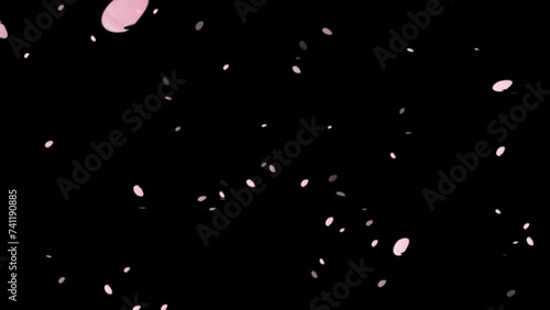 桜の花びらが舞うイメージ