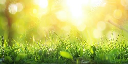 Green grass at sunlight, lo...