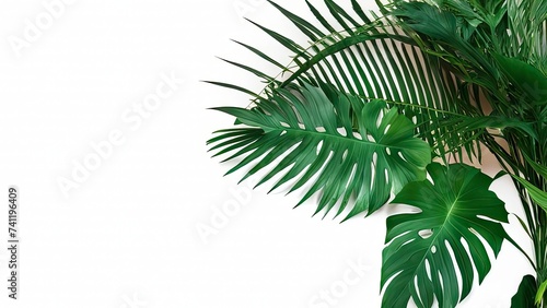 A composition of green foliage from tropical plants forming a flowering bush on a white background in an indoor space with a natural landscape in the background.