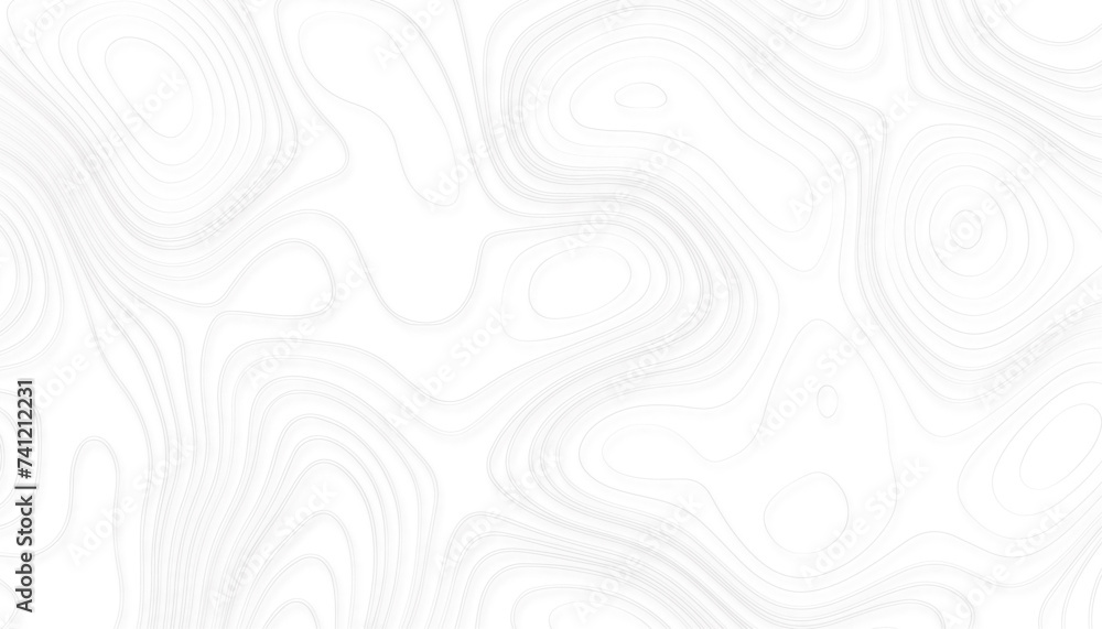 Contour background. Geographic abstract grid. Topographic map lines. vector illustration. Contour background. Geographic abstract grid. Topographic map lines. vector illustration.