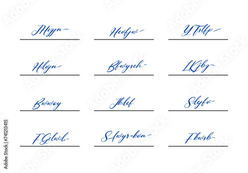 Handwritten fake signature collection. Lettering for business, signing of documents, certificates and contracts. Fictitious autograph set. Signature in blue pen color. 