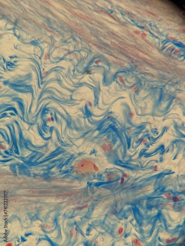 Bild auf Leinwand Microscopic Images of Tissues Showing Detailed Cellular Structures