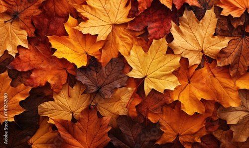 A Serene Autumn Scene: Leaves in Various Shades of Orange and Brown