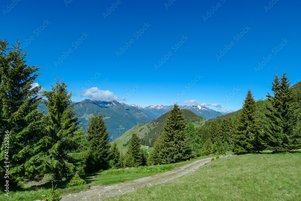 Panoramic view of majestic mountain peaks of Carnic and Julian Alps. Idyllic hiking trail to Boese Nase, Ankogel Group, Carinthia, Austria. Remote Austrian Alps in summer. Alpine forest, hills, valley