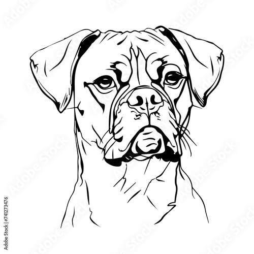 Boxer dog portrait vector illustration
