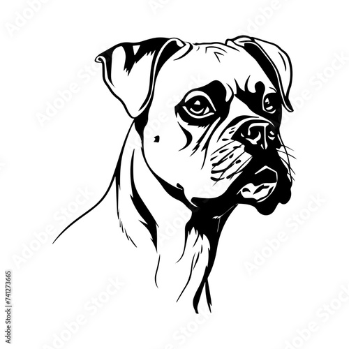 Boxer dog portrait vector illustration