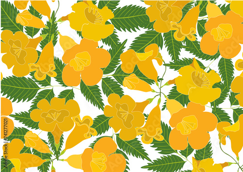 Yellow elder pattern