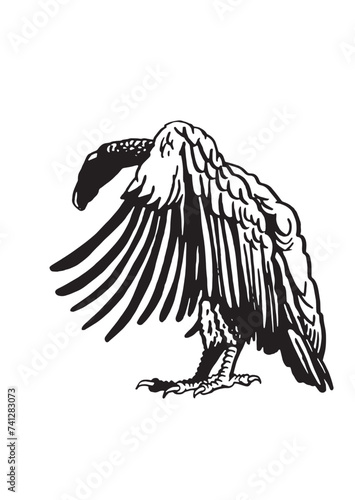 Graphical vulture standing, vector illustration