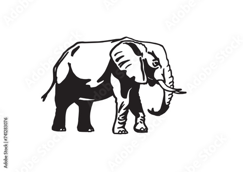 Fototapeta Naklejka Na Ścianę i Meble -  Graphical elephant walking on white background, vector illustration	