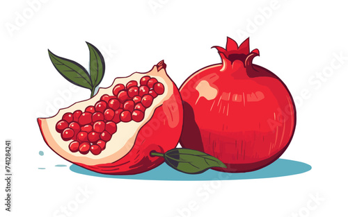 Pomegranate vector flat minimalistic isolated vector style illustration