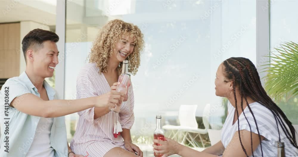 Diverse friends enjoy a toast outdoors Diverse friends enjoy a toast outdoors