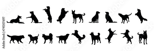 Group of dogs various poses vector silhouettes collection.