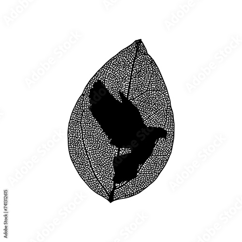 Dove in leaf silhouette. Basis graphics on white background
