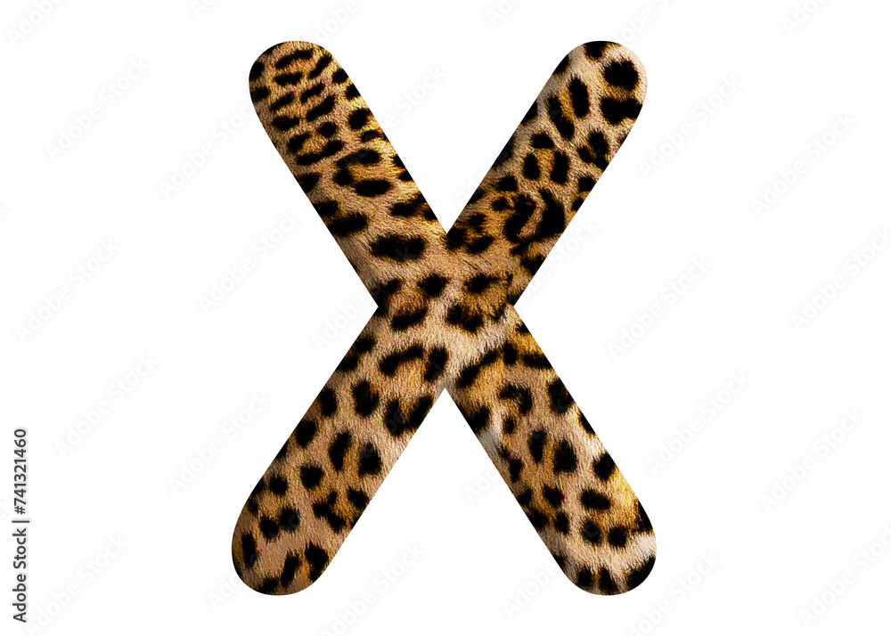 Letter X shape made of leopard fur or skin, isolated on PNG transparent background, suitable for template design Letter X shape made of leopard fur or skin, isolated on PNG transparent background, suitable for template design