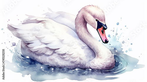 white swan watercolor illustration on a white background photo