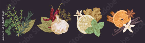 Herbs and spices arranged in groups. Hand drawn illustrations, frame  templates