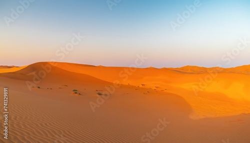 Empty Quarter Desert Dunes. A sea of sand