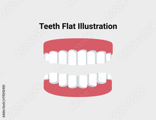 White teeth flat illustration. Dentistry and orthodontics vector illustration. Dental clinic services, stomatology, dentistry, orthodontics, oral health care and hygiene vector.