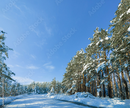 Snow, forest and mountain road or outdoor winter in Canada for environment explore, holiday or cold weather. Woods, trees and path or remote location for travel adventure or blue sky, ice or frozen