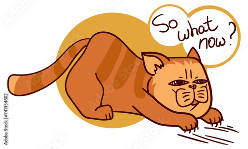 Cat is a redhead with the inscription And now what. Flat fat tabby cat shows emotions. Kitten is an animal with emotions on its face. Vector illustration of a red cat scratching the floor