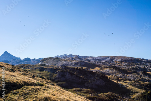 Summer landscape in the mountains of Navarra, Pyrenees, Spain