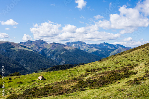 Fototapeta Naklejka Na Ścianę i Meble -  Summer landscape in the mountains of Navarra, Pyrenees, Spain