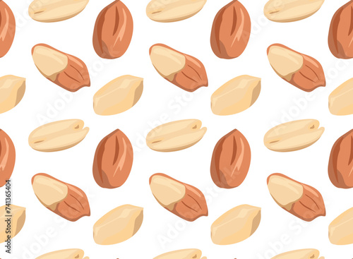 Peanut kernels from different angles. Seamless pattern in vector. Suitable for backgrounds and prints