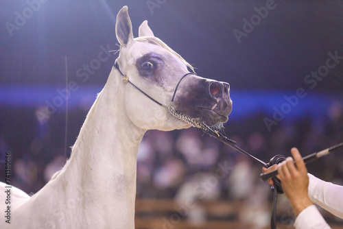 Saudi Arab Horse rider on traditional photo