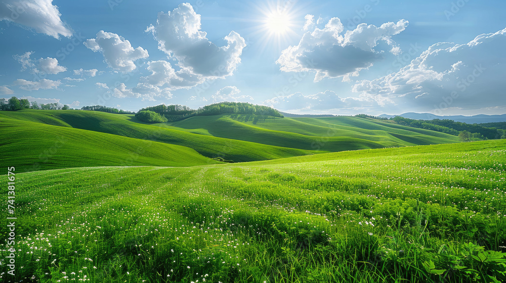 Lush green grass on field and hill

