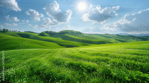 Lush green grass on field and hill 