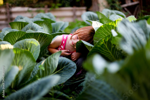  little red-haired girl hiding in the cabbage garden photo
