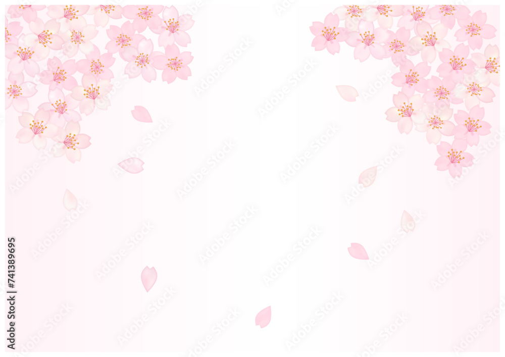 桜が美しい春の和風フレーム背景40桜色