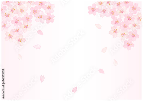 桜が美しい春の和風フレーム背景40桜色