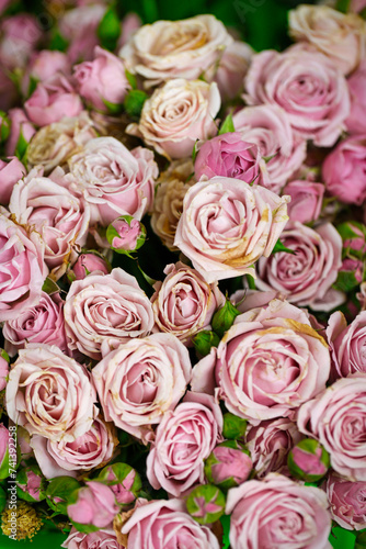 Pink Roses Bouquet With Copy Space