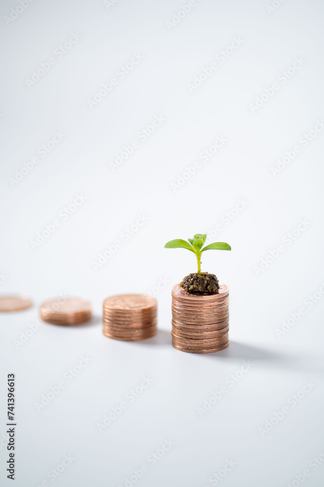 お金 お金