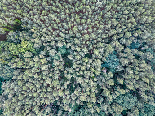 Brandenburger Wald Luftbild
