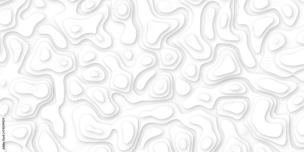 white paper and relief wave and cruve line paper cut background. soft white color seamless pattern, vector illustration, multi layer cutout banner design. topo counter map in 3d view. white paper and relief wave and cruve line paper cut background. soft white color seamless pattern, vector illustration, multi layer cutout banner design. topo counter map in 3d view.