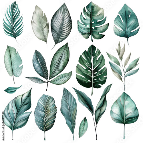 set of soft watercolor minimalist of Tropical leaves. tropical leaves such as palm fronds, banana leaves, and Monstera leaves