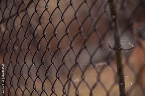 A closeup of a chainlink fence with a tree in the background