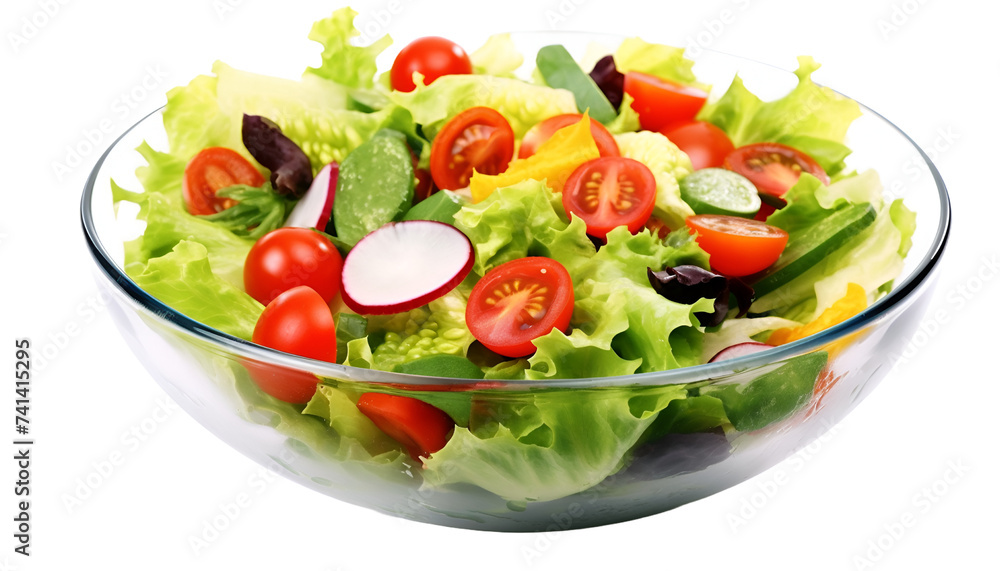 fresh vegetable salad bowl fresh vegetable salad bowl