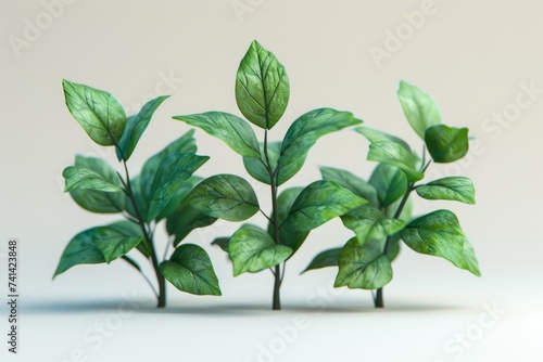 3d cartoon holly plant on white background