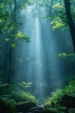 In the forest, sunlight pierces through mist, illuminating the green canopy, creating a magical, tranquil scene.
