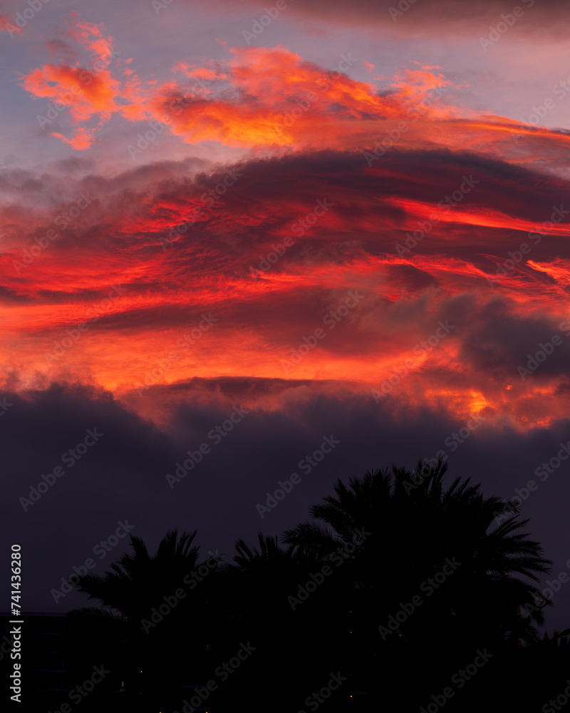 Palm trees silhouettes against an epic sunset Palm trees silhouettes against an epic sunset