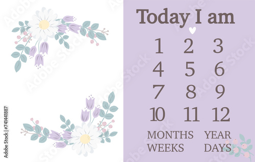 Baby milestone blanket. Baby milestone cards. First 12 months cards. Baby photo frame with flowers .Baby shower decoration. Newborn girl cards, stickers. Vector illustration. 