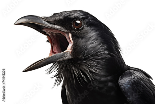Close up crow isolated on transparent background. Generative AI photo